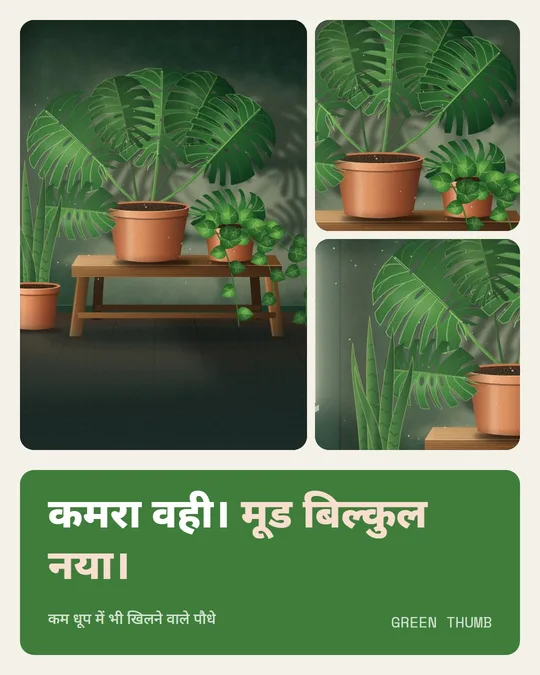 Example Instagram post in Hindi for Green Thumb, a made-up business
